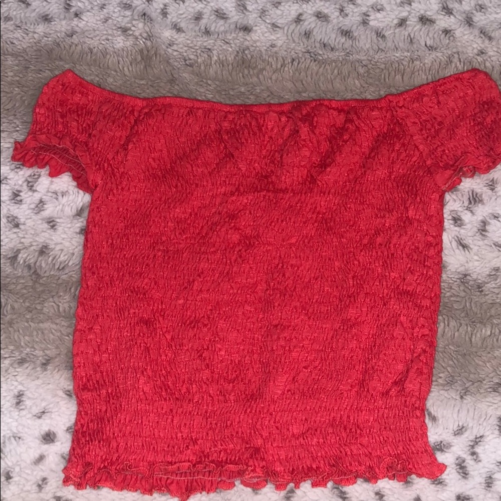 Red/Pinkish Crop Top